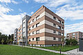Schelmenholz Winnenden