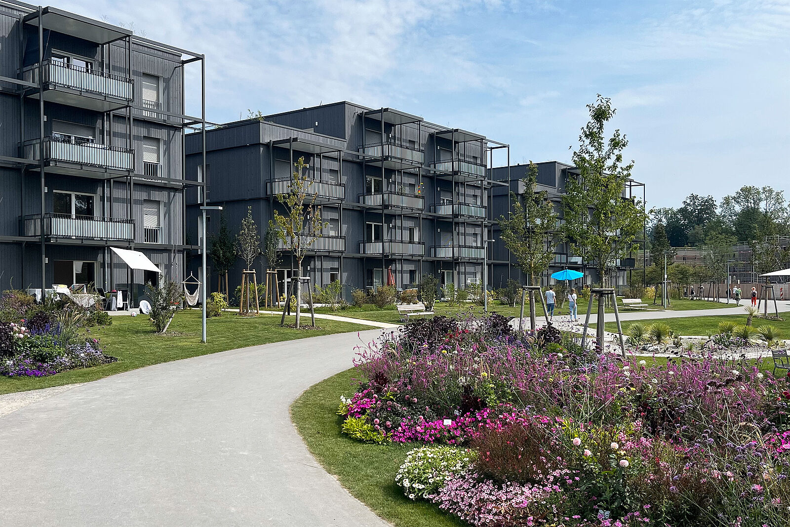 LGS Wangen