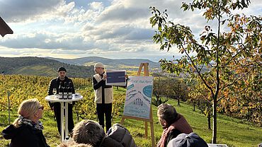 Nachverdichtung 2025